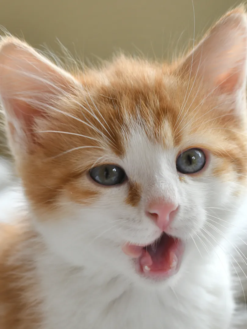TEST_Test_Test